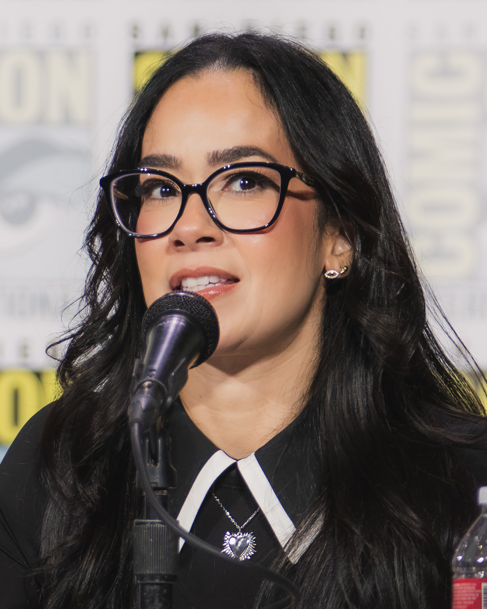 Imagem de referência de AJ Lee, descrito nos dados abertos como lutadora profissional e autora americana
