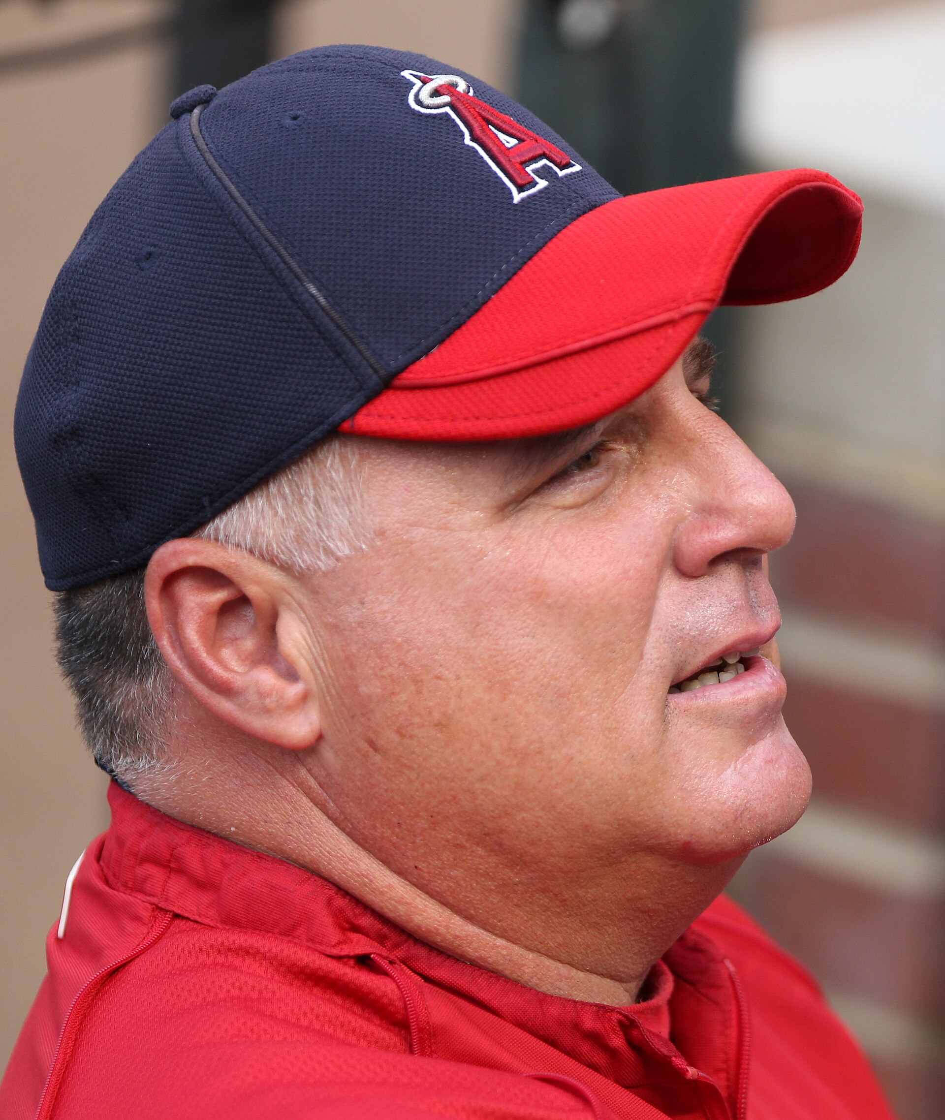 Imagem de referência de Mike Scioscia, descrito nos dados abertos como jogador de beisebol americano