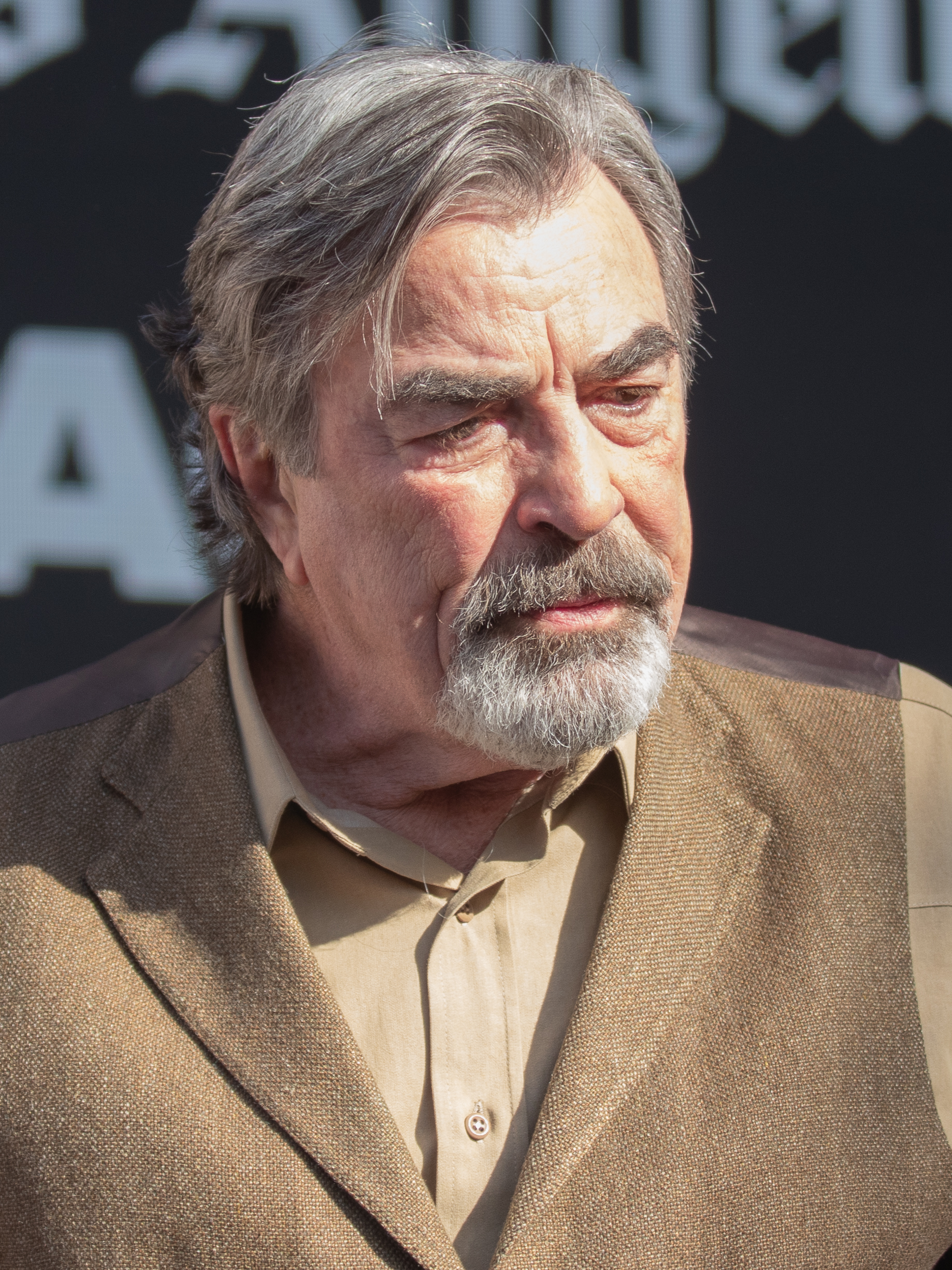 Imagem de referência relacionada a Tom Selleck, item descrito como ator estadunidense