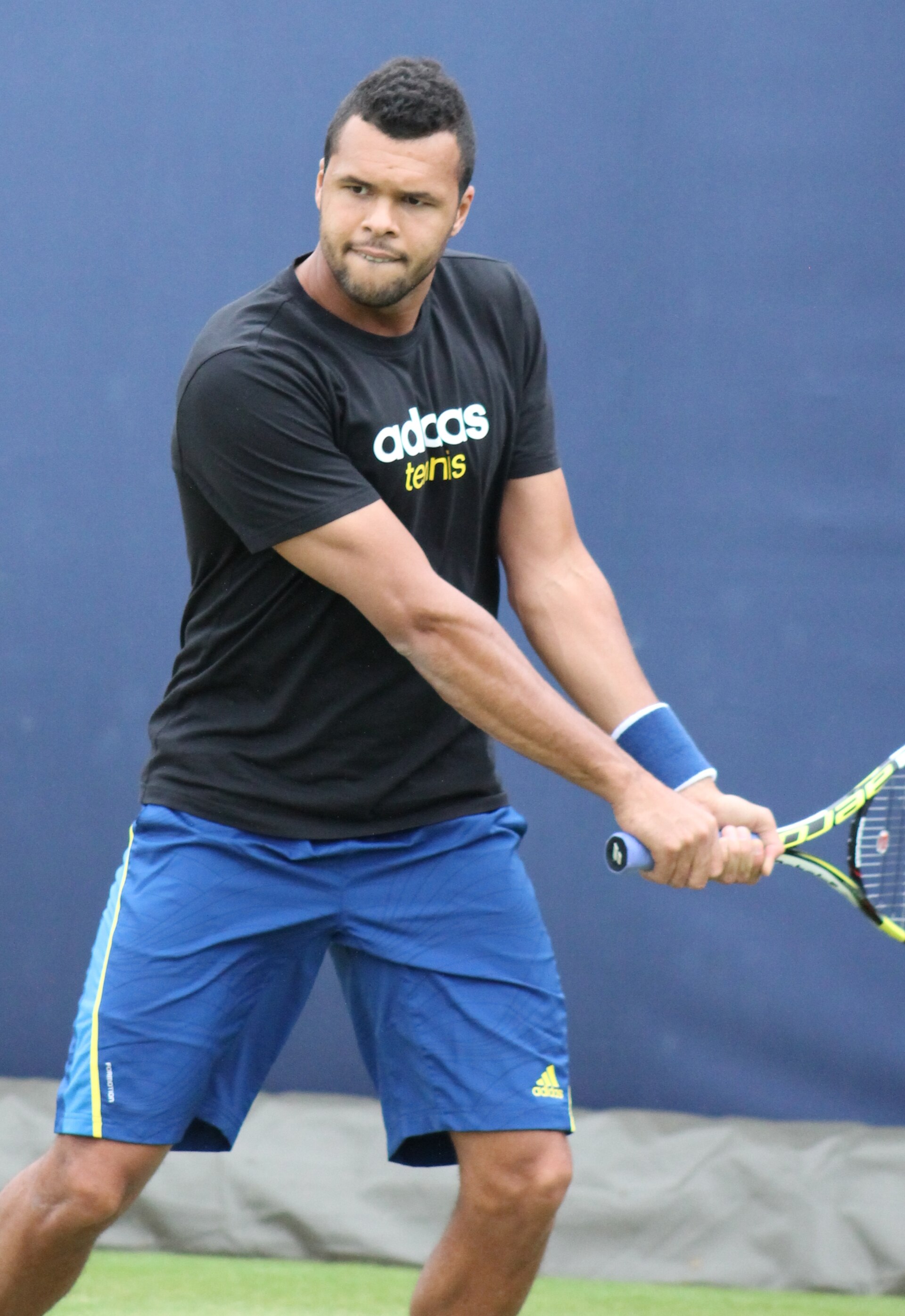 Imagem de referência relacionada a Jo-Wilfried Tsonga, item descrito como tenista francês