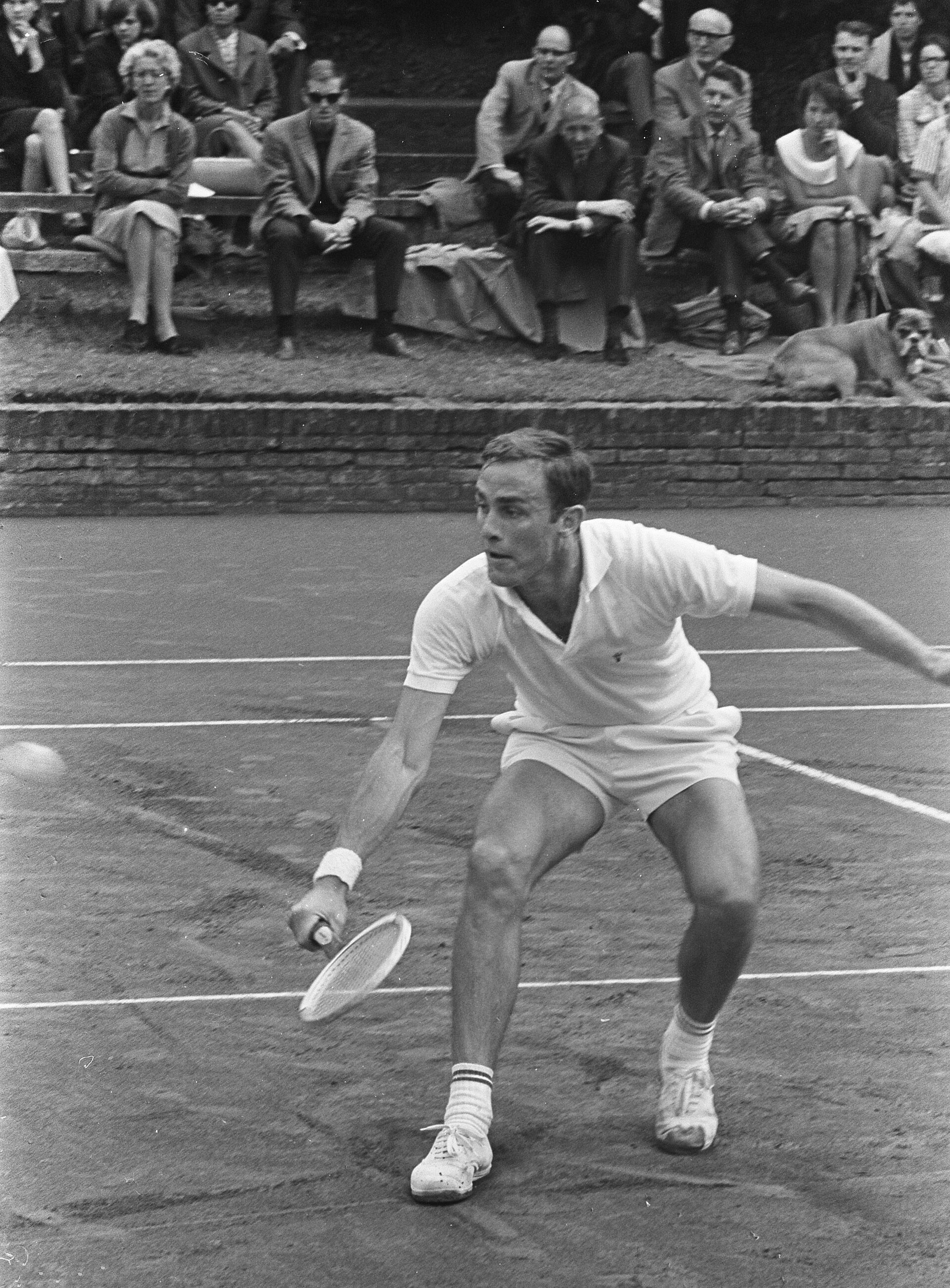 Imagem de referência relacionada a John Newcombe, item descrito como tenista australiano