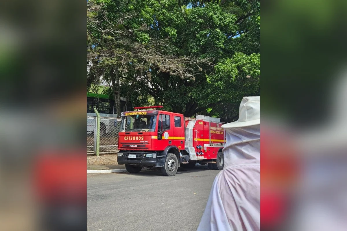 Bombeiros resgatam homem de 73 anos que foi atacado por abelhas em Minas