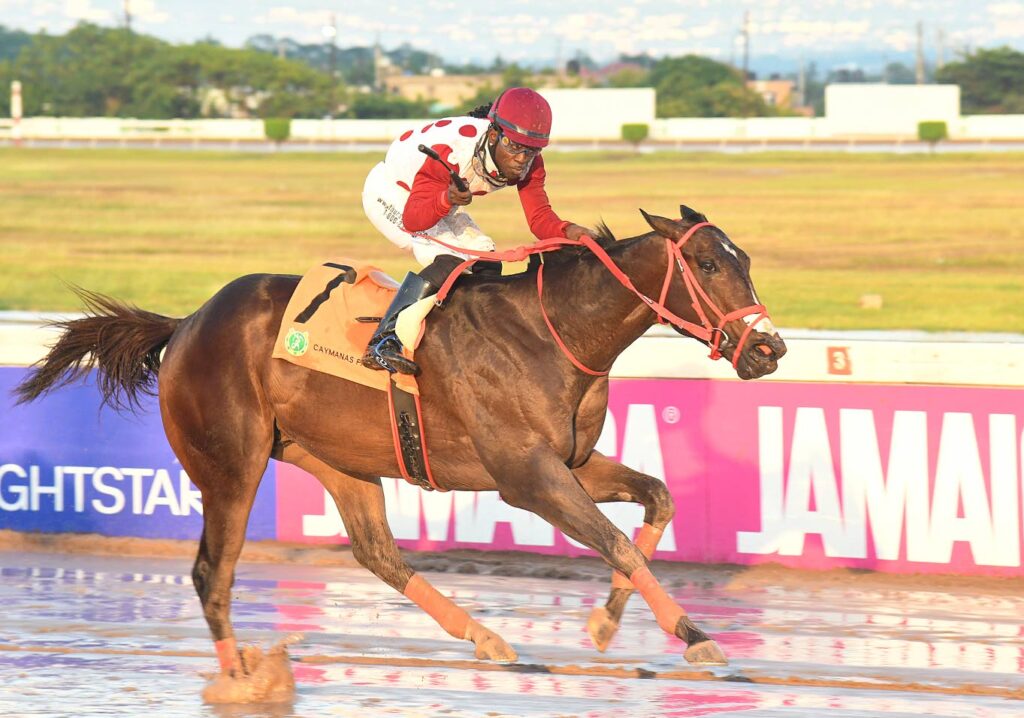 Girvano para esmagar rivais no Kenneth Mattis Memorial Cup