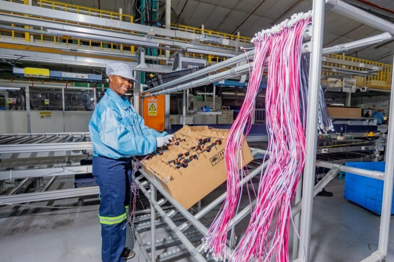 A marca internacional de eletrodomésticos que completa três décadas na África do Sul