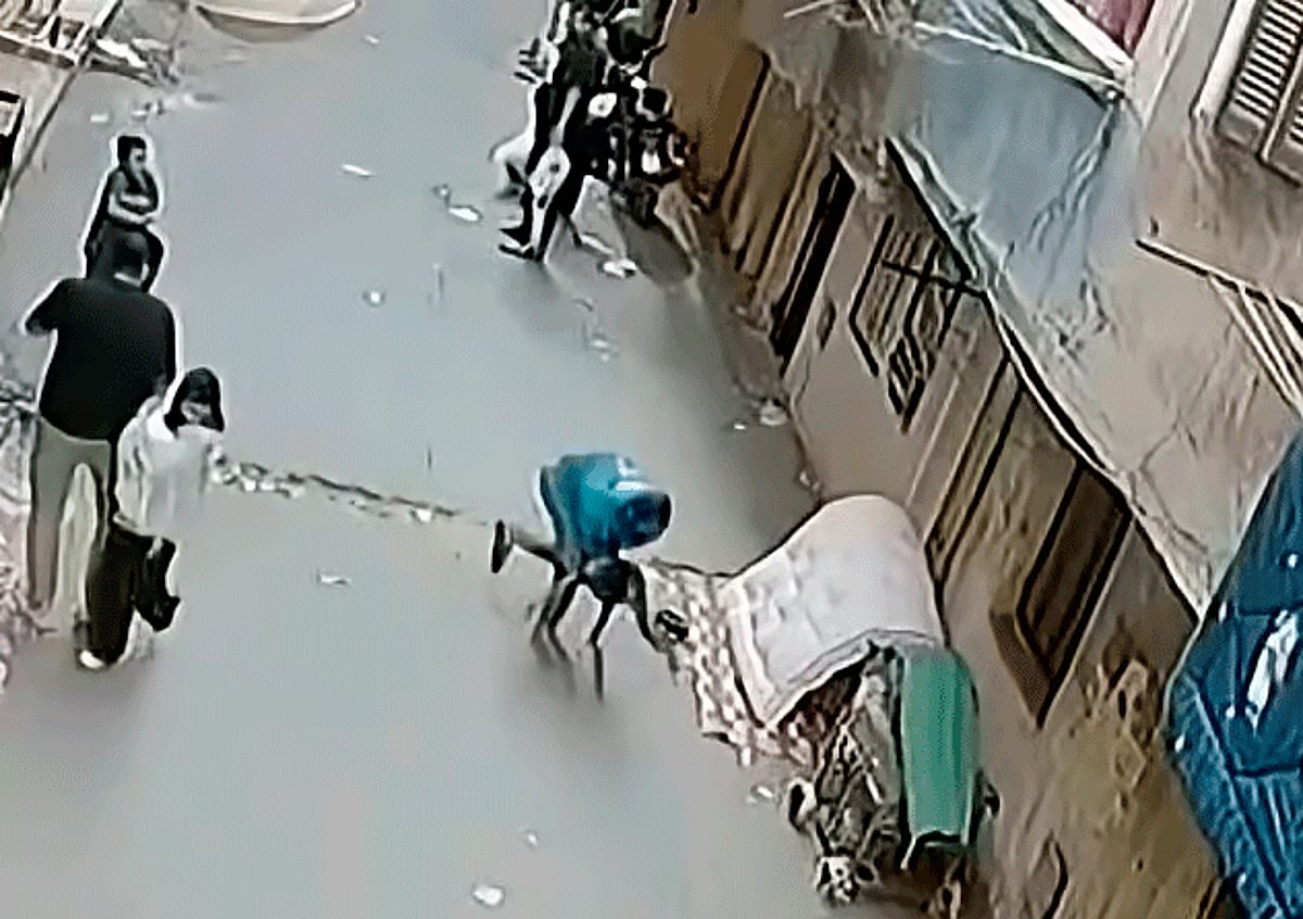 Assista: Uma pegada em fração de segundo salva criança caindo de varanda