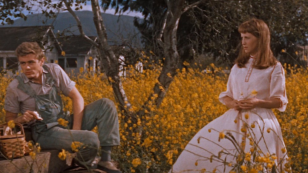 Vidas Amargas é estrelado por James Dean, o "rebelde sem causa" da era de ouro de Hollywood — Foto: Reprodução/The Movie Database