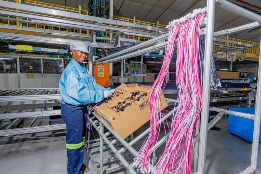 A marca internacional de eletrodomésticos que completa três décadas na África do Sul