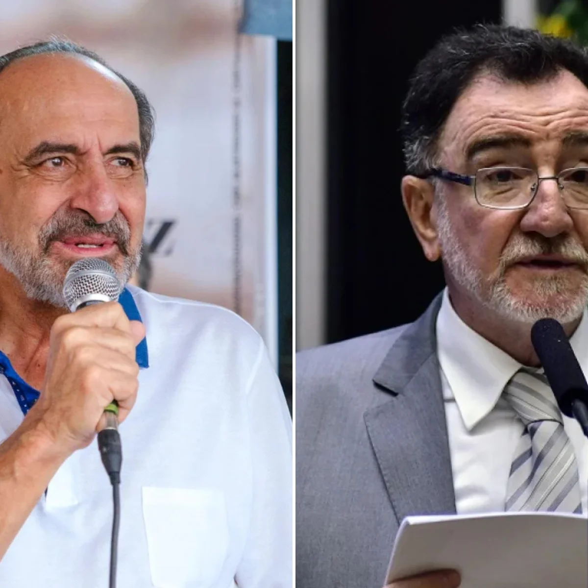 Apenas 2 de 11 candidatos ao governo de MG têm propostas de proteção animal
